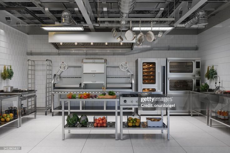 commercial kitchen consultant in delhi